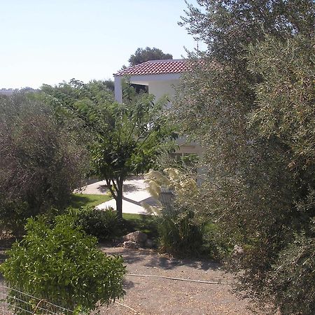 Nephele Apartments Faliraki Exterior foto