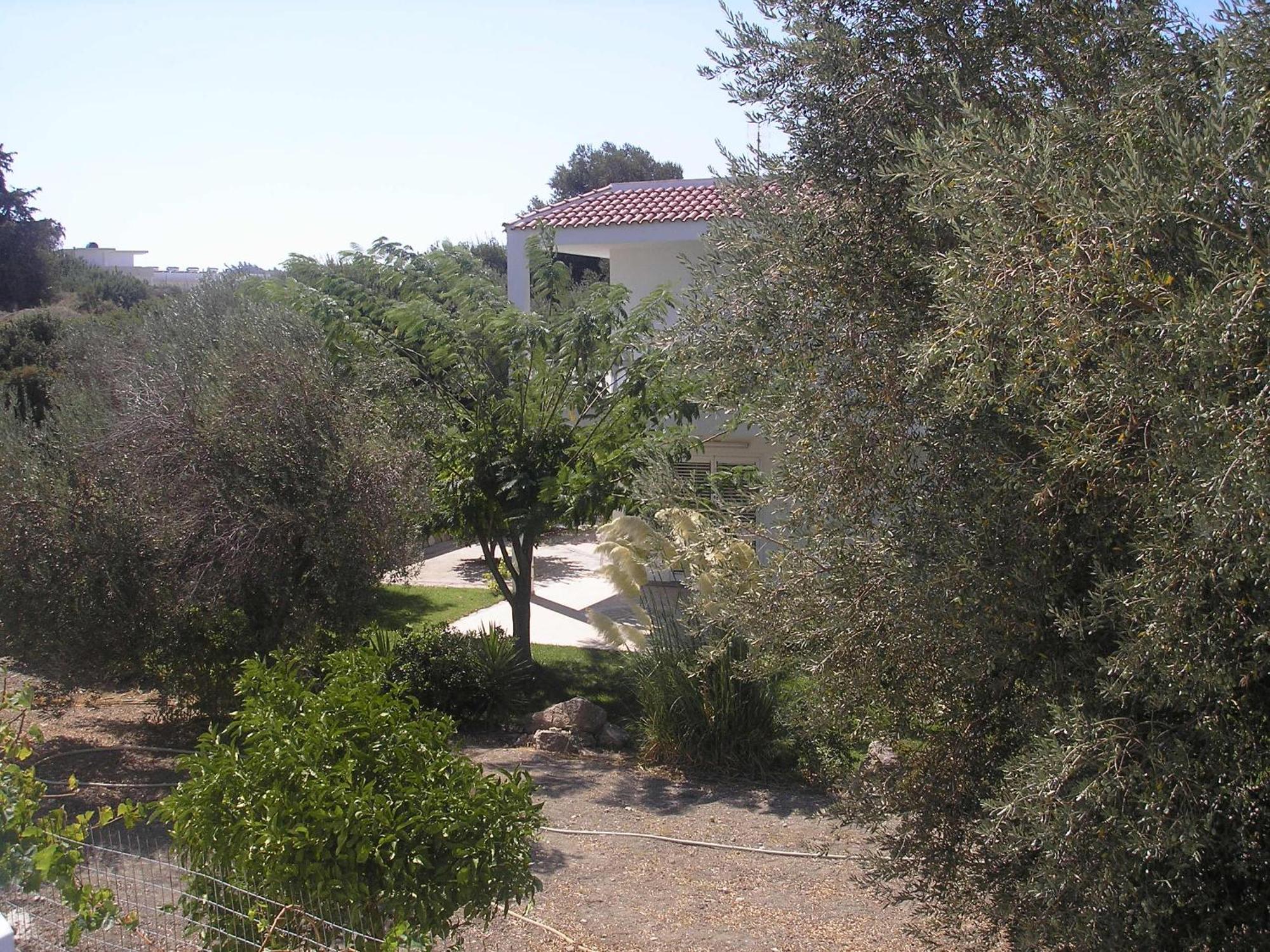 Nephele Apartments Faliraki Exterior foto