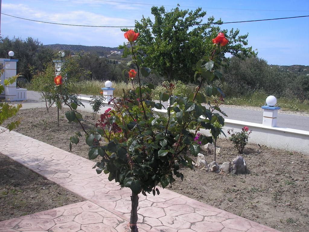 Nephele Apartments Faliraki Exterior foto